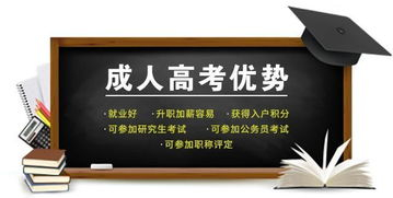 高考学历学信网可以查到吗 到社会能得到认可吗 